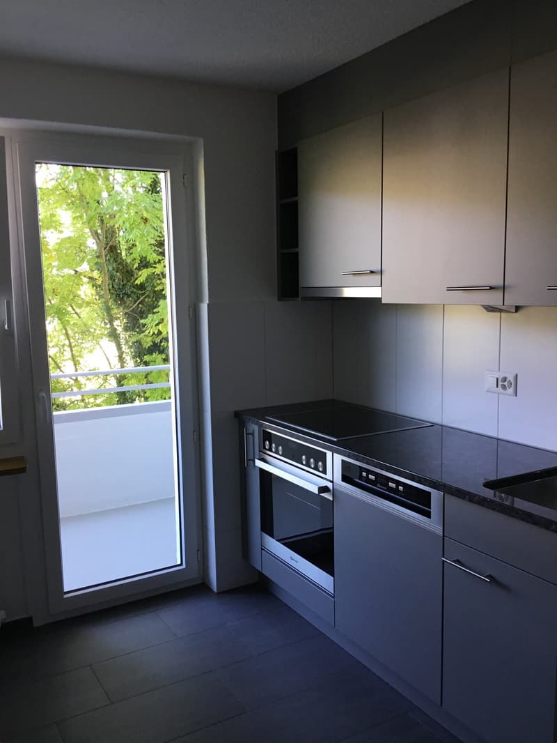 Schöne 3-Zimmer-Wohnung mit moderner Küche und grossem Balkon (2)