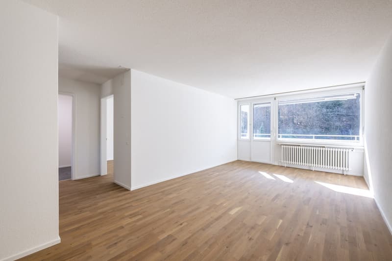 Totalsanierte 2.5-ZWG mit 73m2 und Ausbau im Eigentumsstandart sucht neuen Mieter (12)