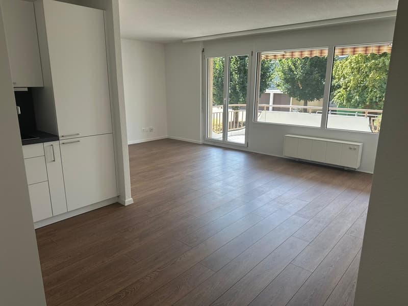 Zu vermieten nach Vereinbarung, frisch sanierte 2.5-Zimmer-Wohnung mit grossem Balkon (2)