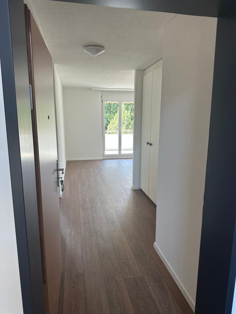 Zu vermieten nach Vereinbarung, frisch sanierte 2.5-Zimmer-Wohnung mit grossem Balkon (4)