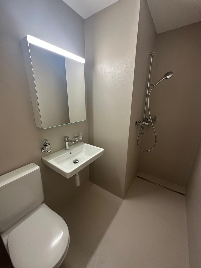 Frisch sanierte 2.5-Zimmer-Wohnung mit Sitzplatz (7)