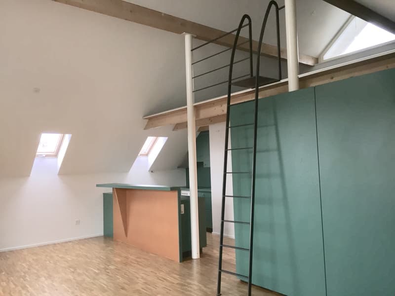 Immobilienpaket mit Entwicklungspotenzial – 6 Wohnungen & 1 Einfamilienhaus auf 3 Parzellen (15)