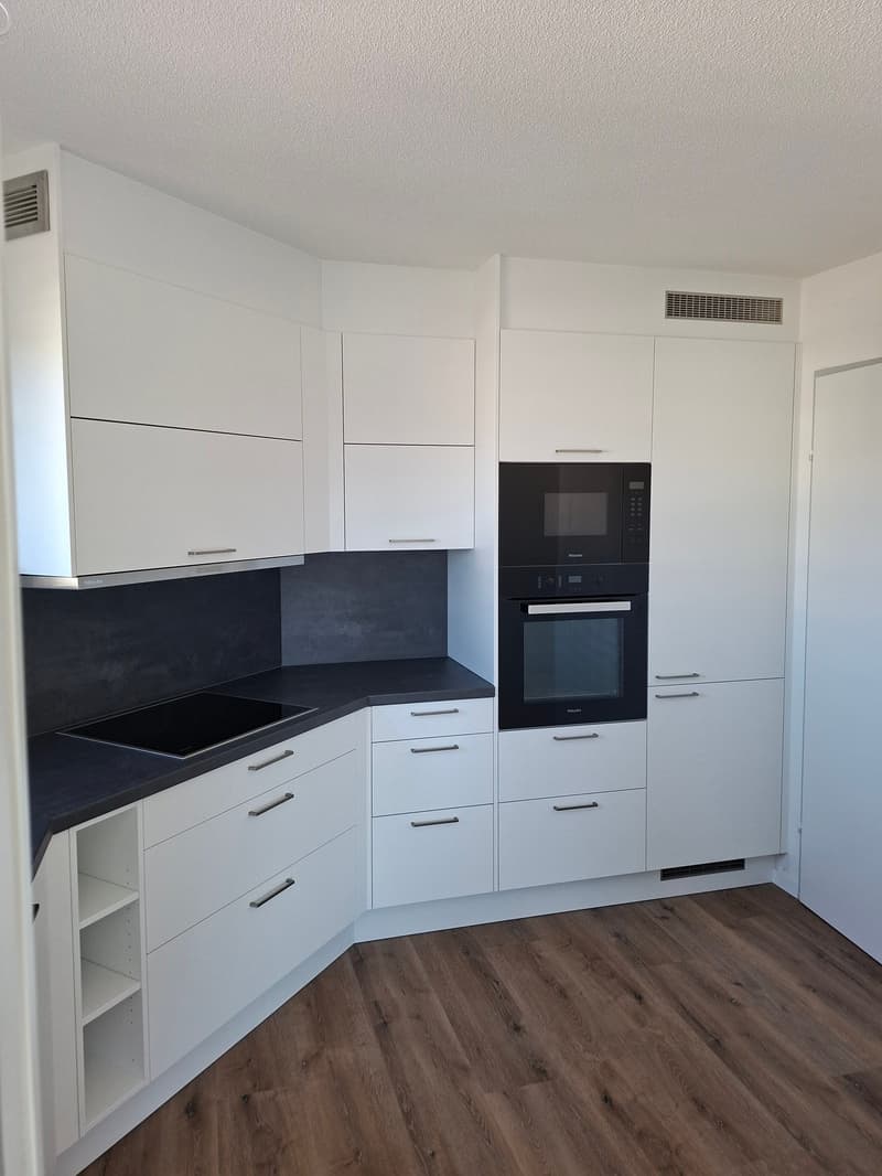 Moderne und frisch sanierte 3.5-Zimmerwohnung (3)