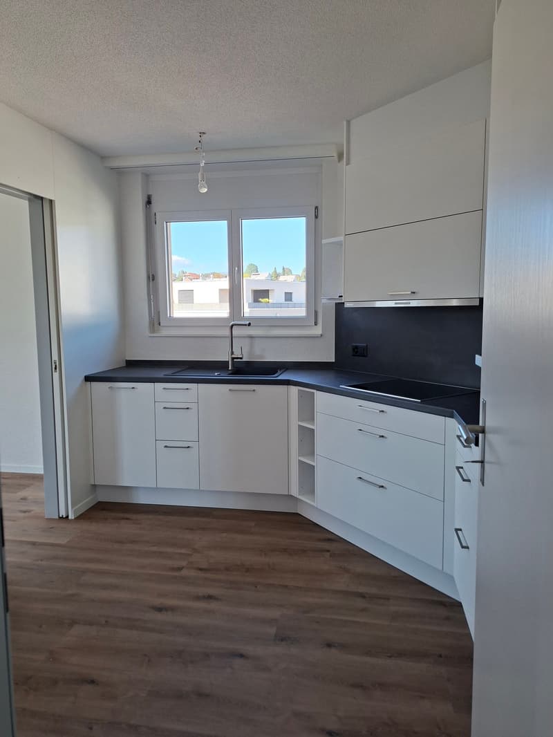 Moderne und frisch sanierte 3.5-Zimmerwohnung (4)