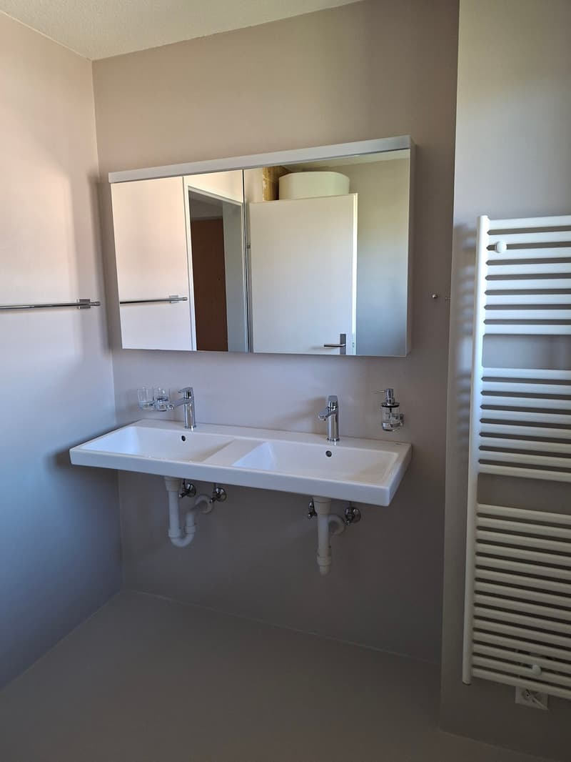Moderne und frisch sanierte 3.5-Zimmerwohnung (10)