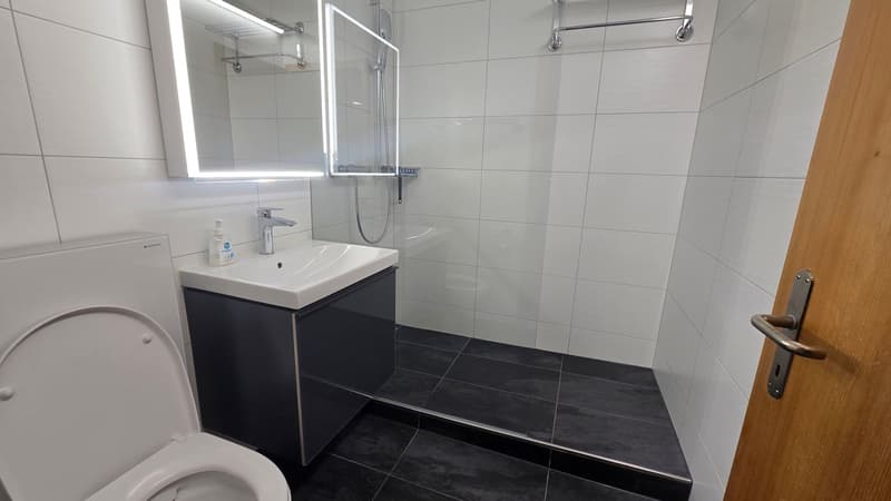 Chalet Dolomit - Zwei Wohneinheiten (STWE), ein Zuhause (7)
