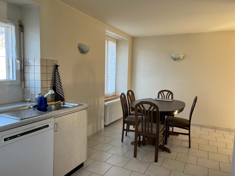 Appartement lumineux meublé de 3 pièces  (possibilité d'enlever les meubles) (4)