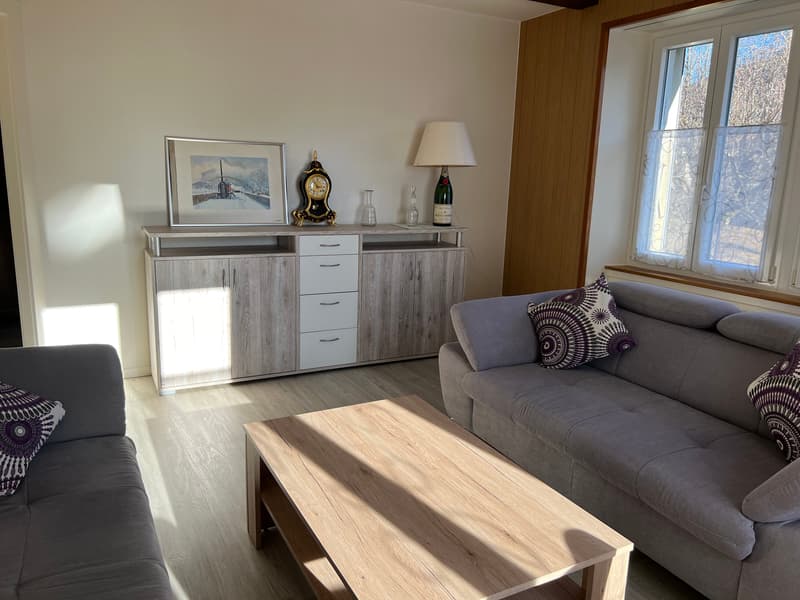 Appartement lumineux meublé de 3 pièces  (possibilité d'enlever les meubles) (9)