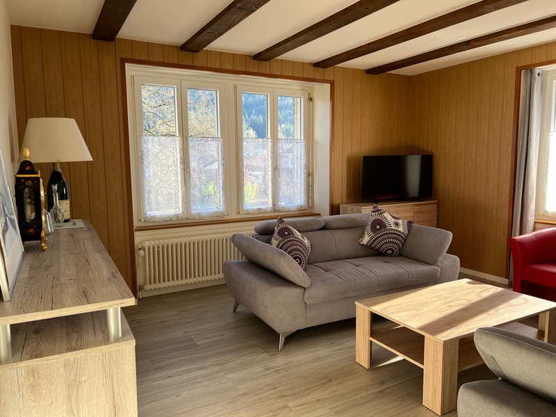 Appartement lumineux meublé de 3 pièces  (possibilité d'enlever les meubles) (7)