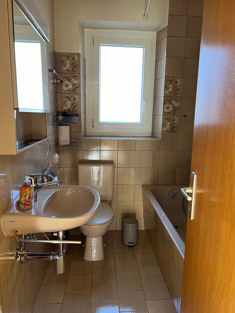 Appartement lumineux meublé de 3 pièces  (possibilité d'enlever les meubles) (12)