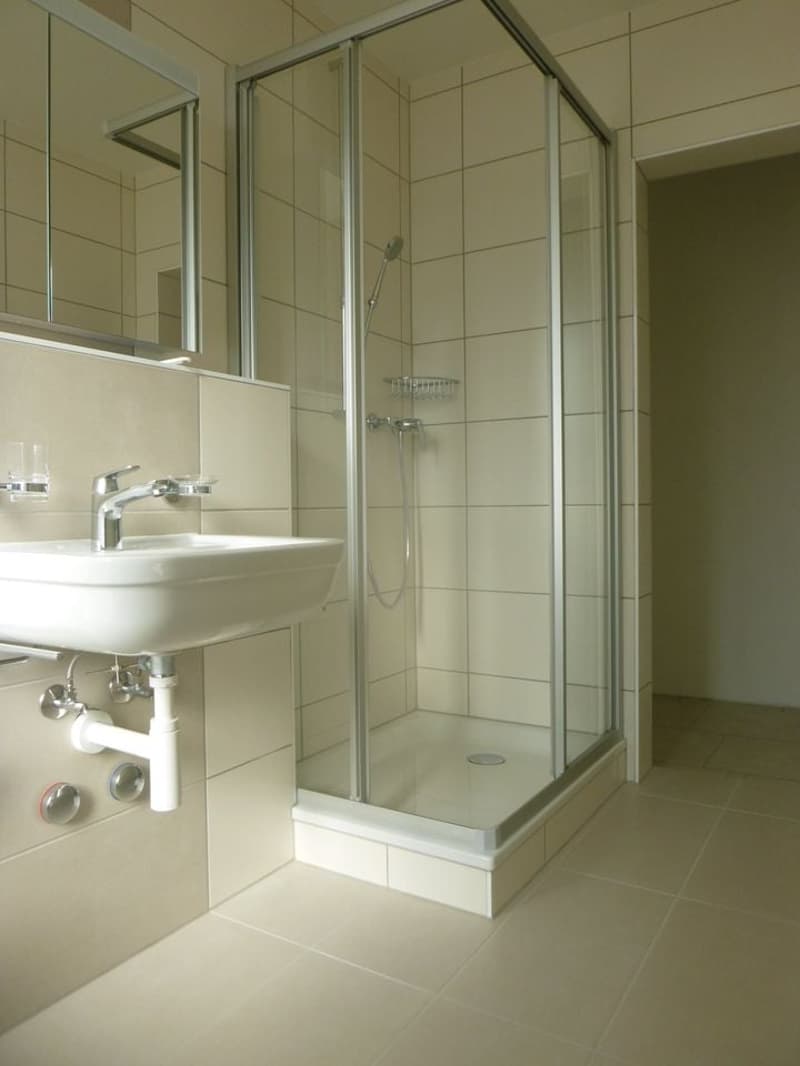 Appartement de 2 pièces à Fleurier (3)