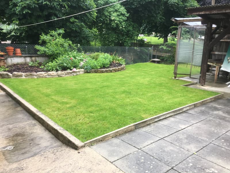 backyard garden with green lawn, concrete slab, small plant area, wooden shed, stone wall, wooden deck