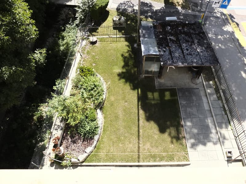 small garden with greenery, wooden fencing, paved area with canopy
