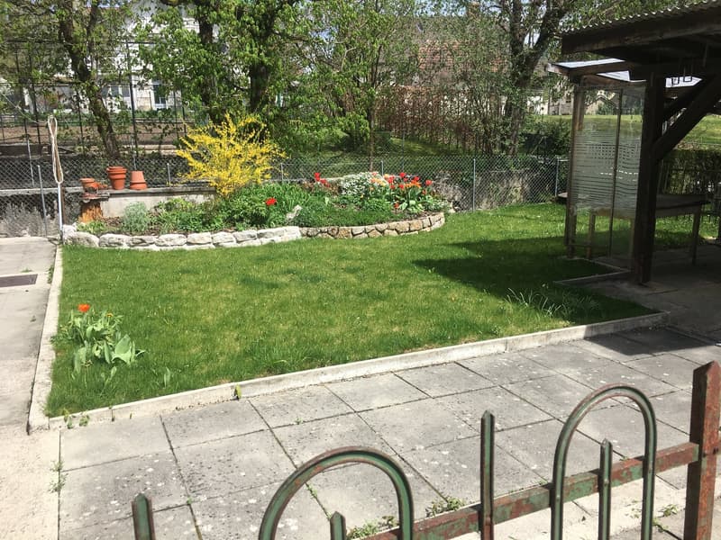 lawn, flower bed, flower bed surrounded by stone border, garden shed