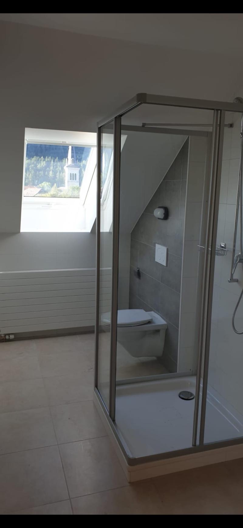 shower, toilet, glass door, skylight window