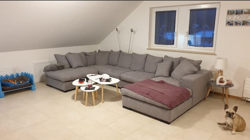 large sofa, coffee tables, lamps, dog, dog bed, two windows, tiled floor