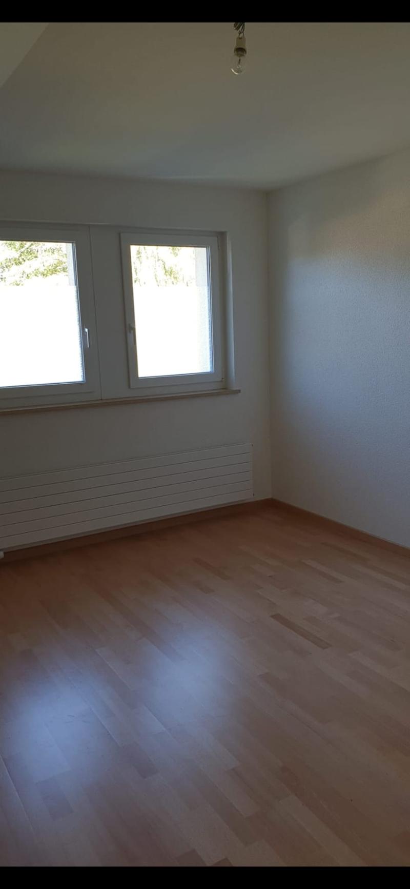 Empty room, wooden floor, white walls, 2 windows, ceiling lamp