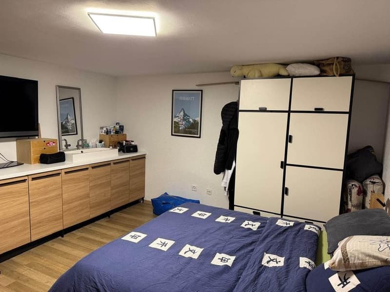 Bedroom with a bed, wooden cabinet, sink, TV, and paintings on the wall.