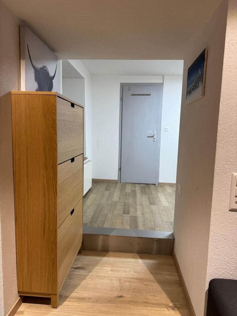 Small hallway with hardwood flooring, wooden storage unit, and white walls, a door leading to another room.