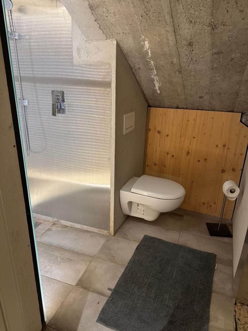 compact bathroom with shower, toilet, and a rug