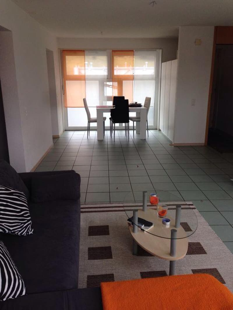 Living room with a couch, coffee table, dining table, chairs, and a rug
