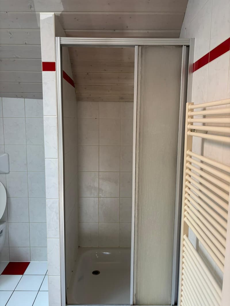 A small bathroom with a shower enclosure, a toilet, and a towel rack.