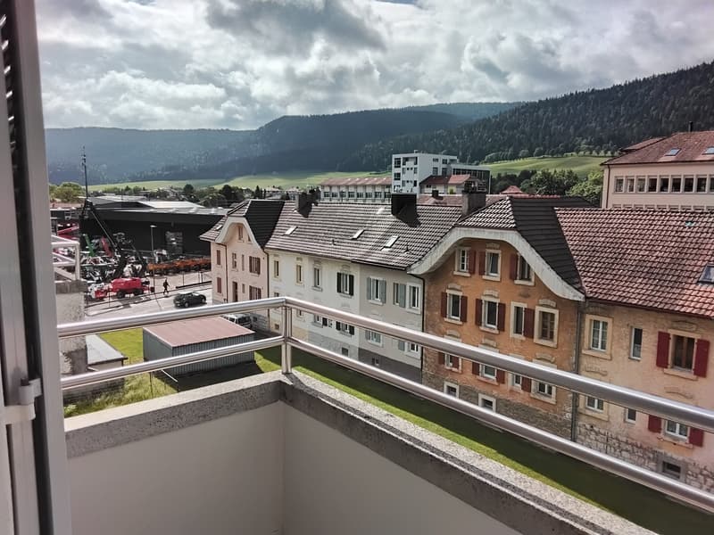 Appartement lumineux de 3.5 pièces avec balcon (8)