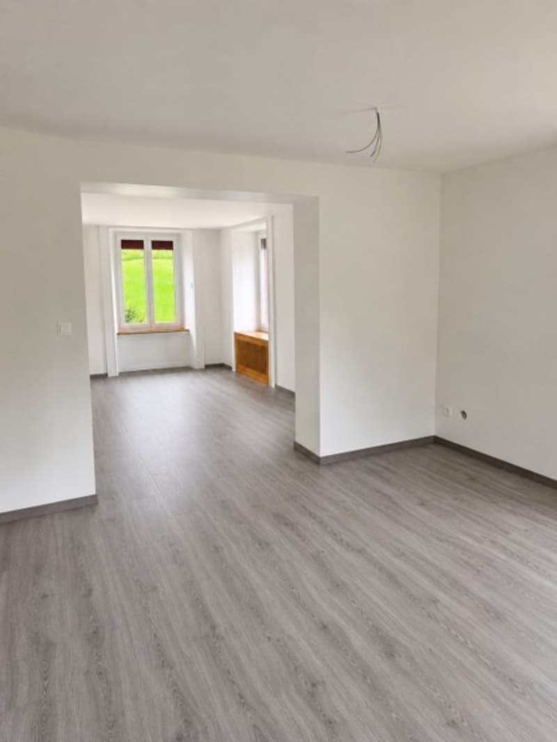 Appartement 2.5 pièces rénové transformable en 3 pièces (2)