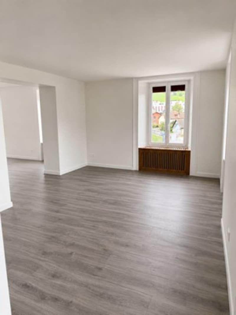 Appartement 2.5 pièces rénové transformable en 3 pièces (3)
