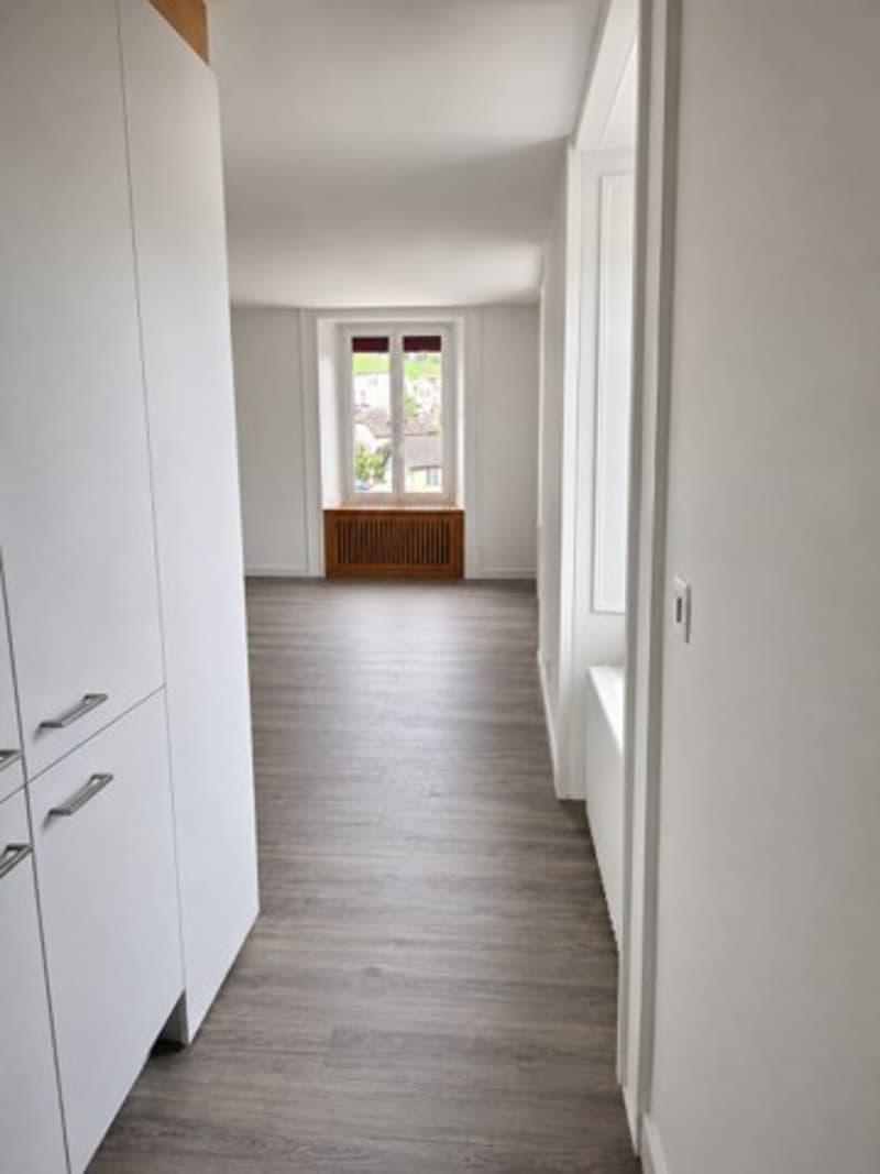 Appartement 2.5 pièces rénové transformable en 3 pièces (6)