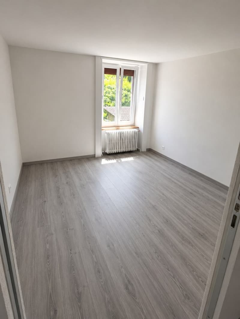 Appartement 2.5 pièces rénové transformable en 3 pièces (4)