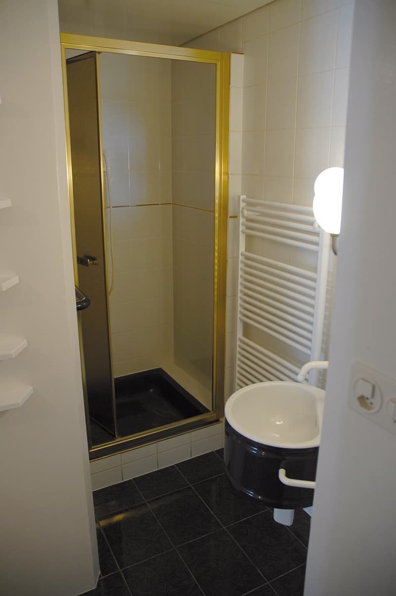 Appartement de 3 pièces à louer aux Bayards (5)