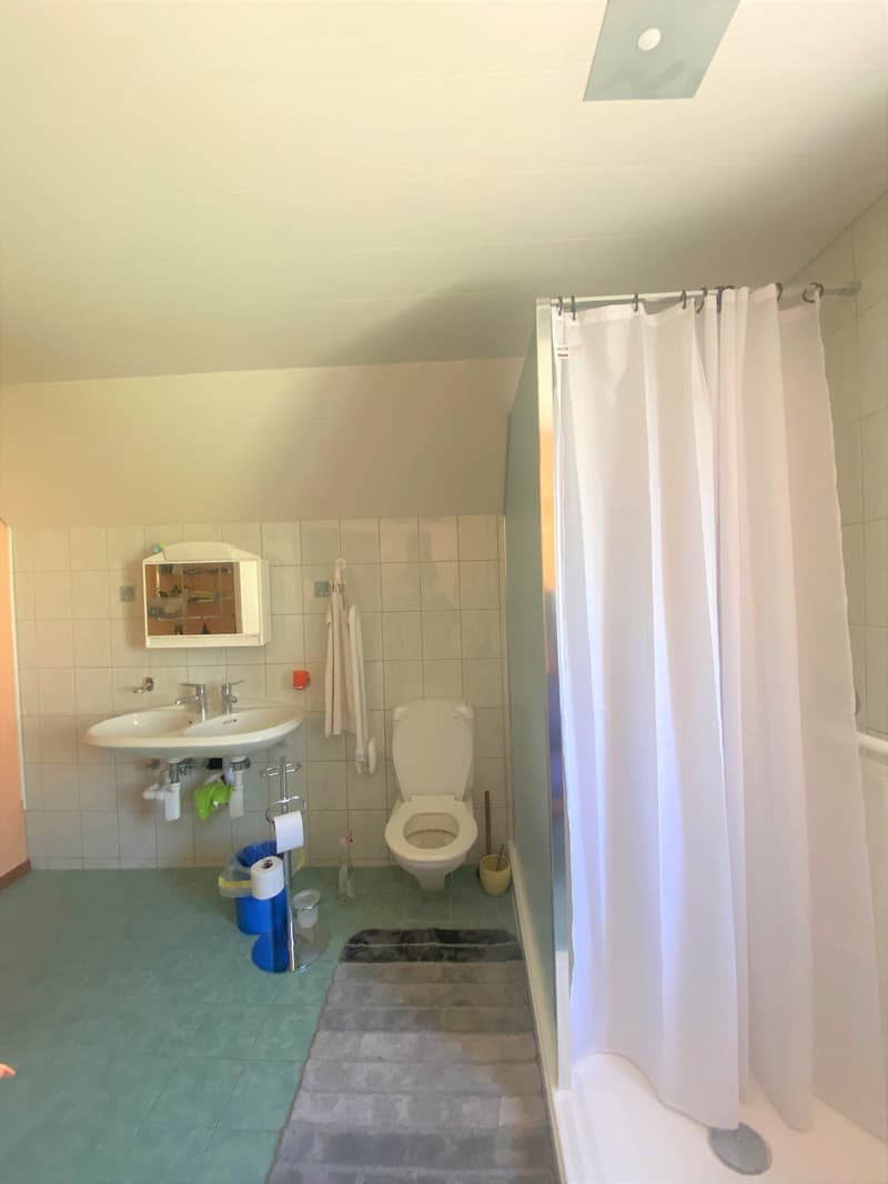 Charmant appartement de 5.5 pièces en triplex (11)