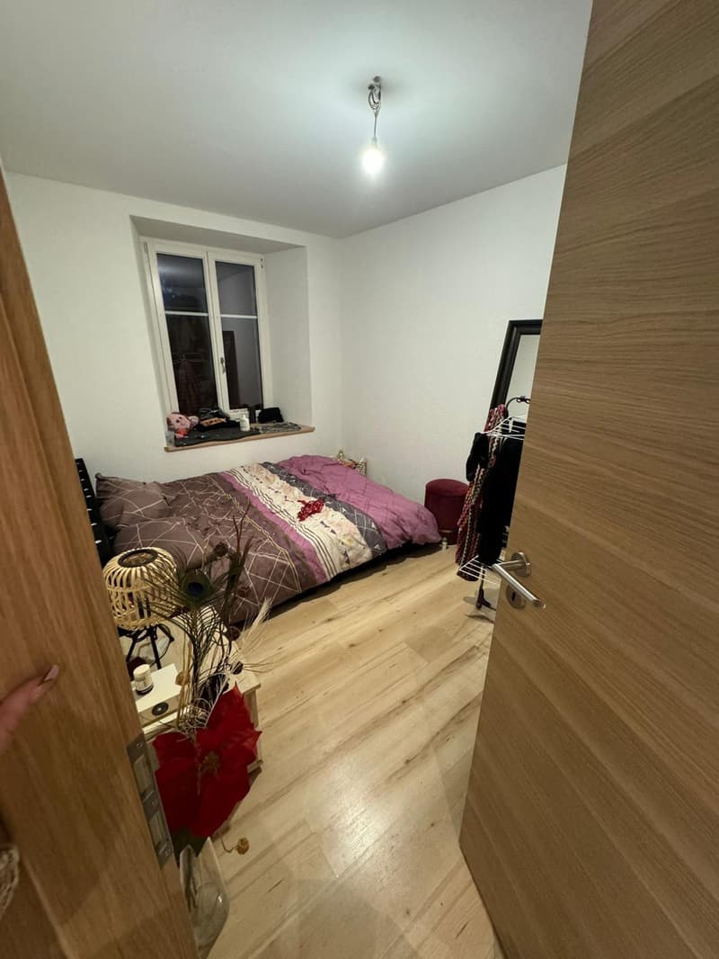 Appartement 2 pièces lumineux au rez-de-chaussée (3)
