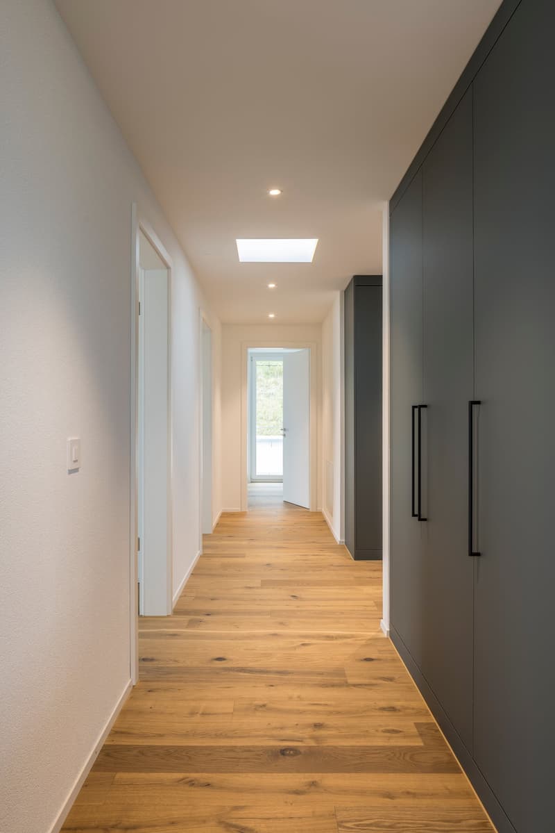 long hallway, wooden floor, white walls, glass door, skylight, closets