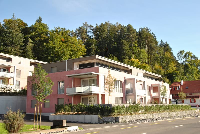 3.5-Zimmerwohnung mit Aussicht | Moderne Bauweise (9)