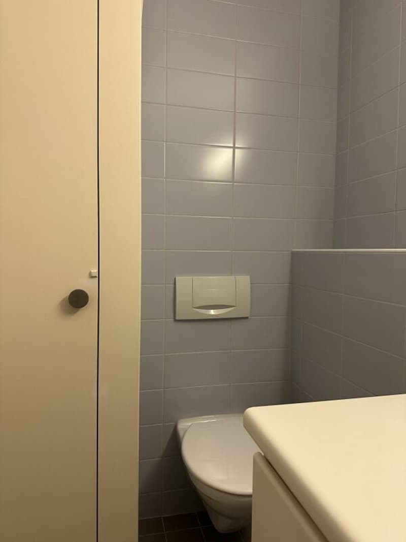 Geniale Maisonettewohnung mit toller Dachterrasse (15)