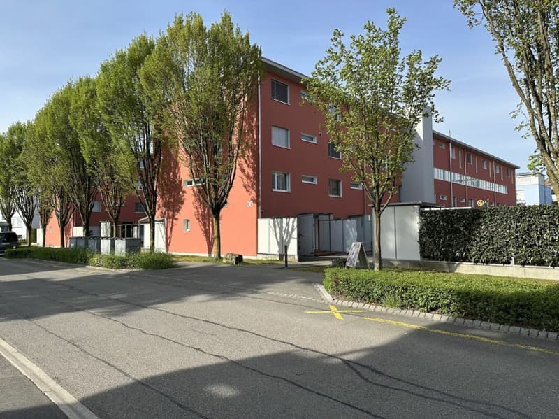 Geniale Maisonettewohnung mit toller Dachterrasse (1)