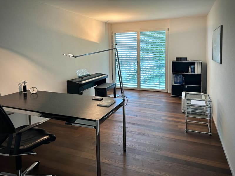 Unvergleichliche Terrassenwohnung mit See- und Alpensicht (10)