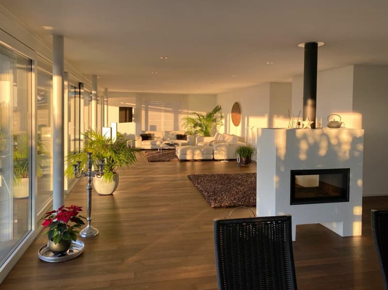 Unvergleichliche Terrassenwohnung mit See- und Alpensicht (4)