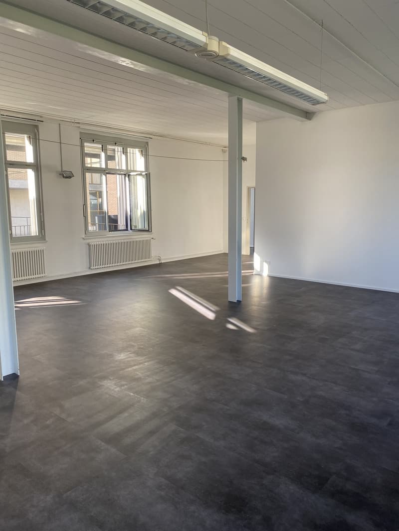 Espace commercial polyvalent à Schöftland (3)