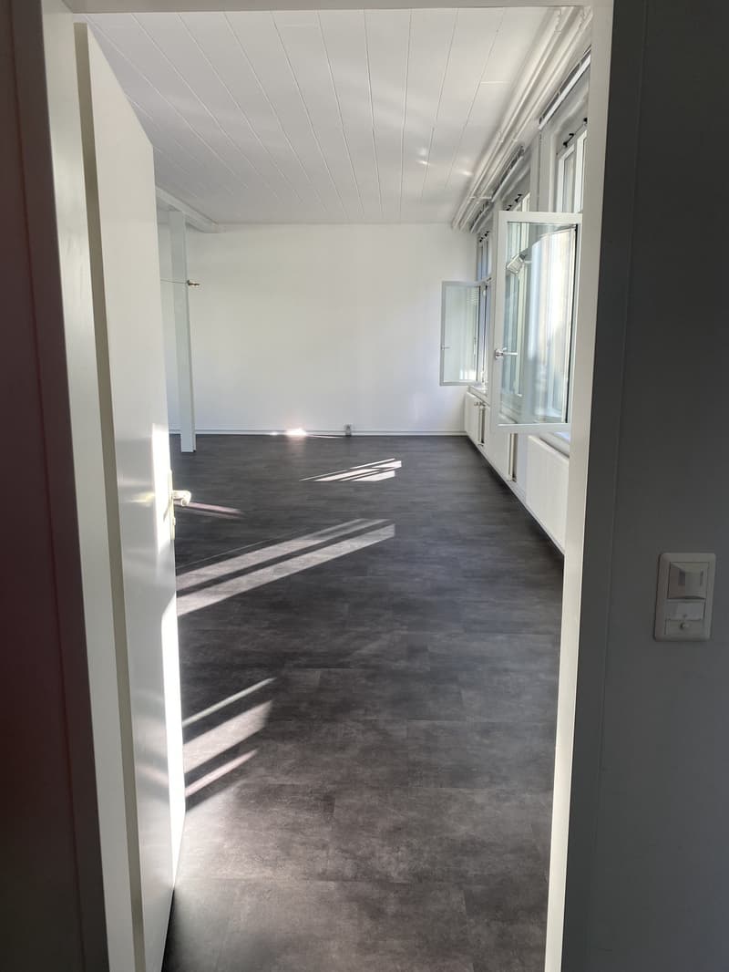 Espace commercial polyvalent à Schöftland (2)