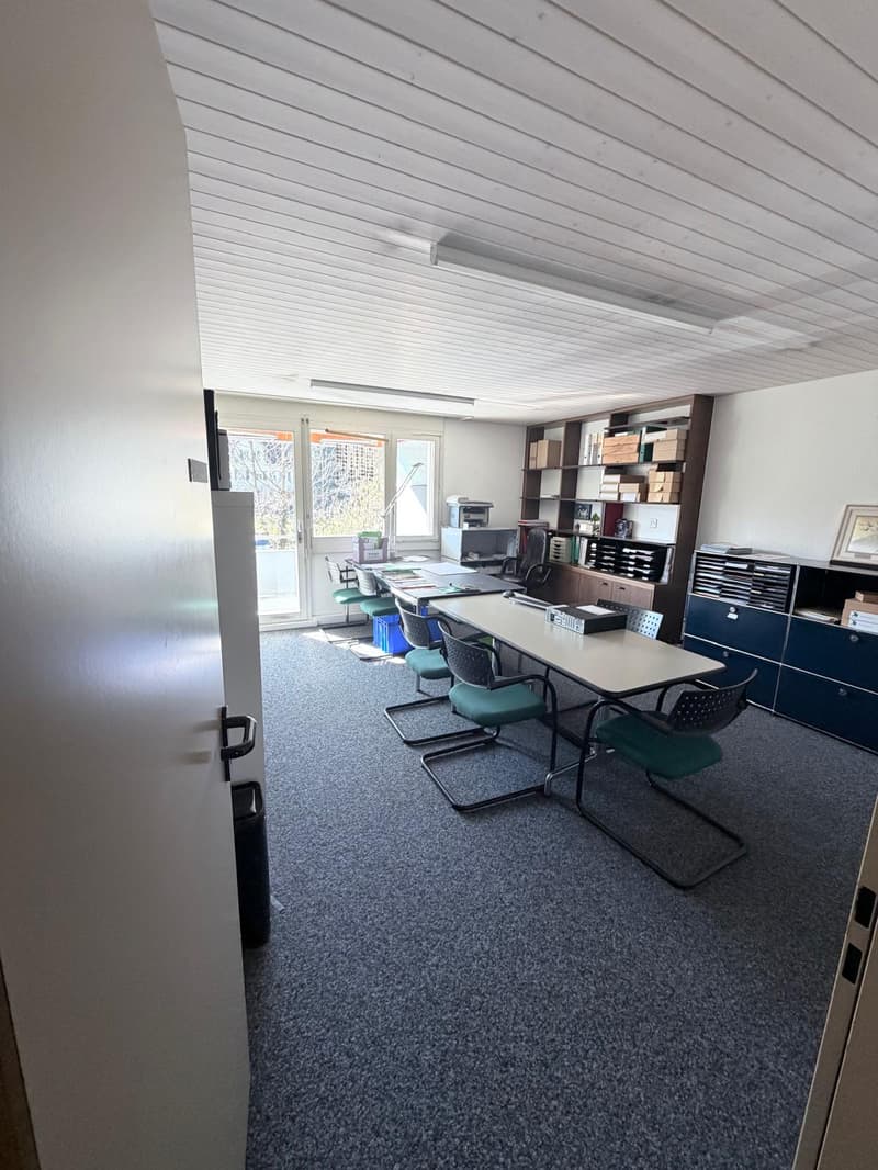 office room with a long table, green chairs, white walls, glass door, cabinets, bookshelves, printer, windows
