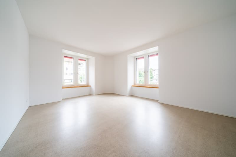 Schöne 3.5 Zimmerwohnung zu vermieten (4)
