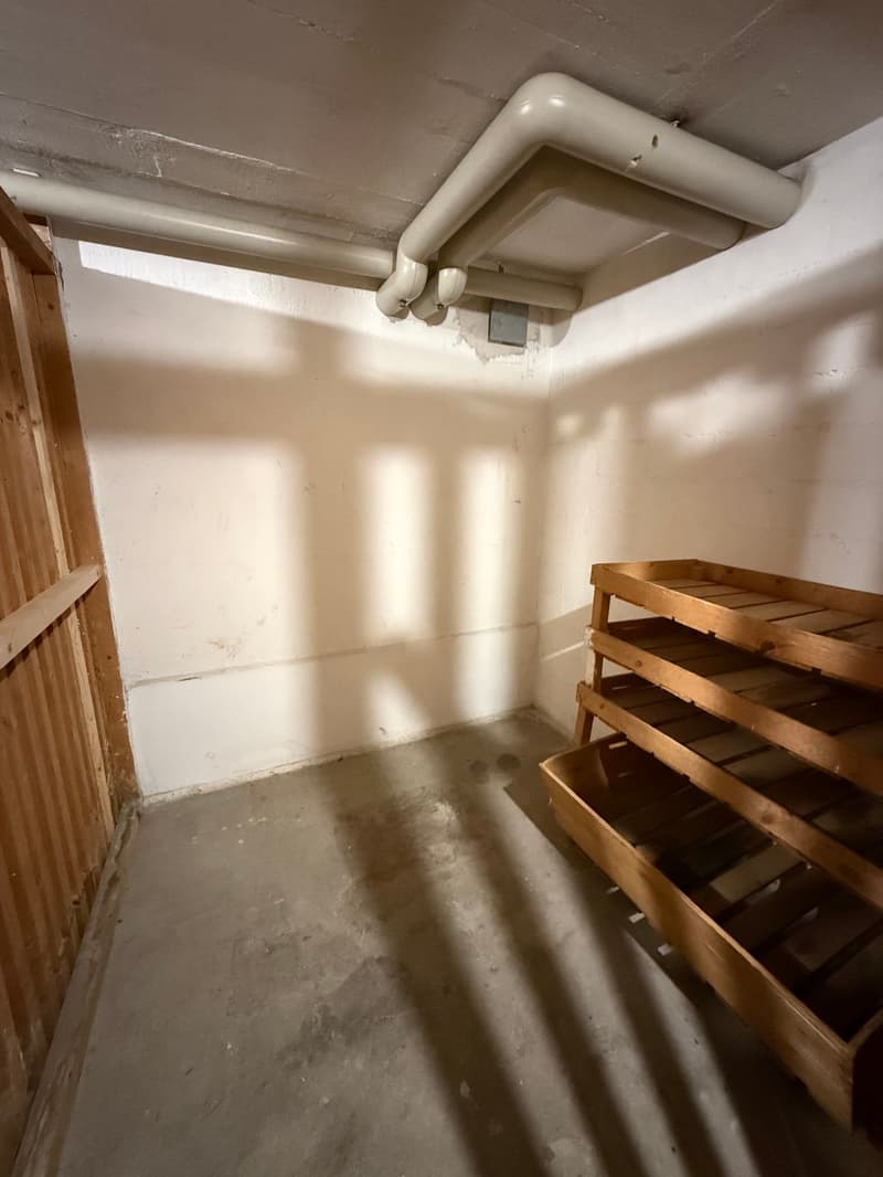 Charmante 3-Zimmer-Wohnung mit Balkon in Romanshorn (8)