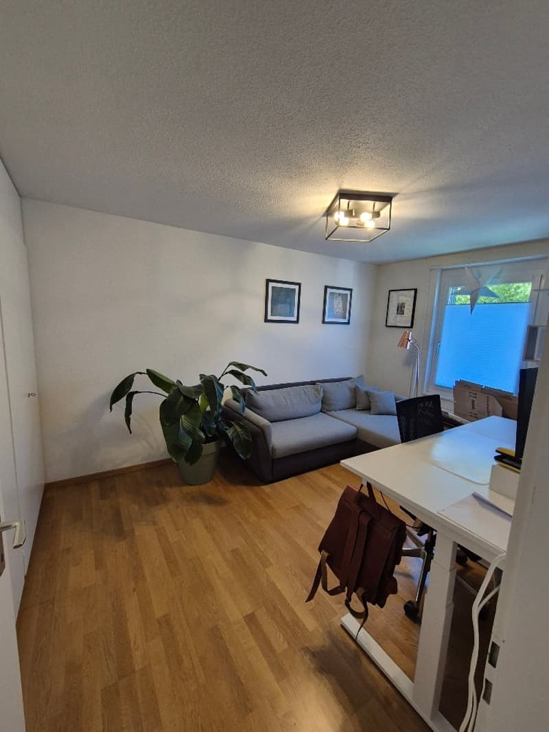 Charmante 4-Zimmer-Wohnung mit Balkon an ruhiger Lage in St. Gallen (5)