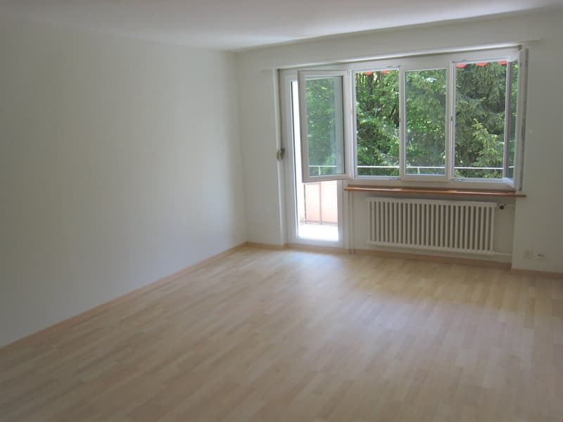 Zentral gelegene 2-Zimmerwohnung (3)