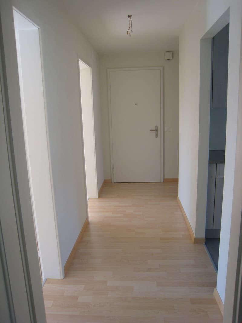Ruhig und zentral gelegene 3-Zimmerwohnung (7)