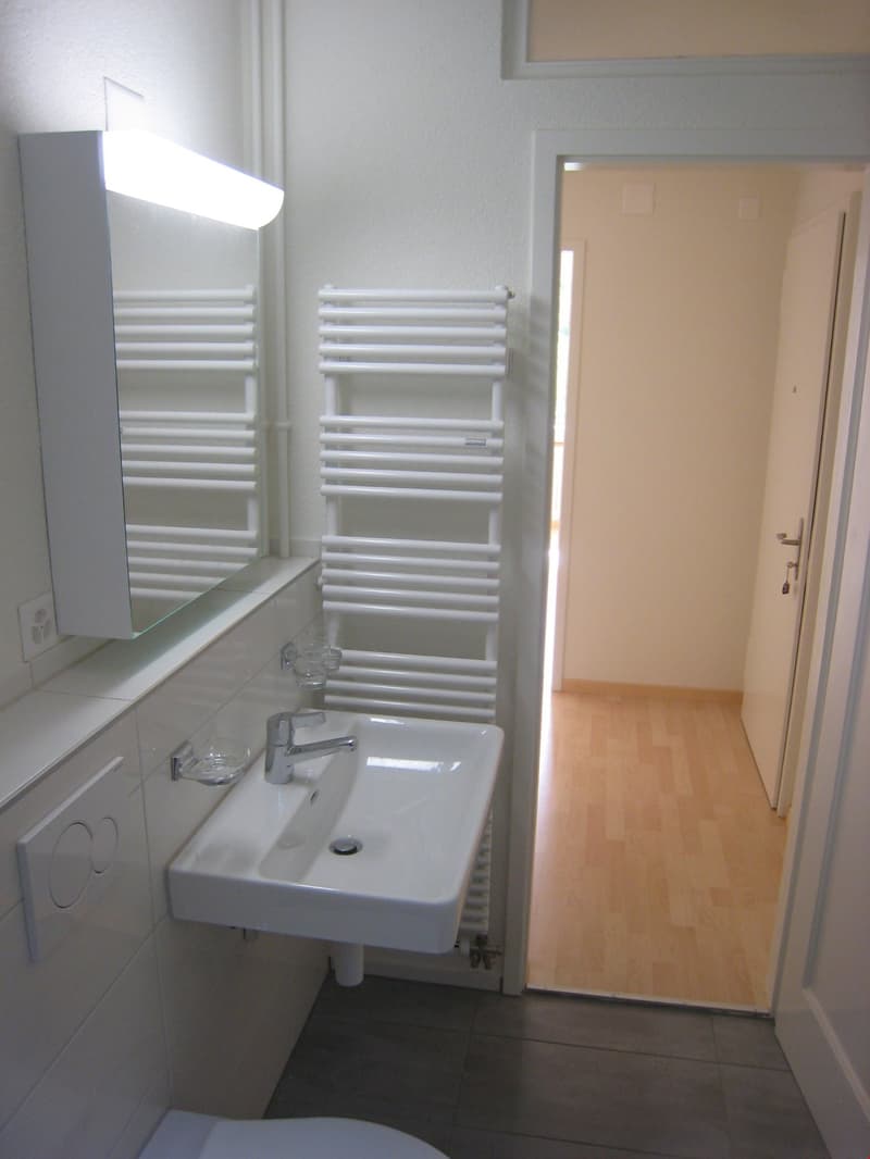 Ruhig und zentral gelegene 3-Zimmerwohnung (6)