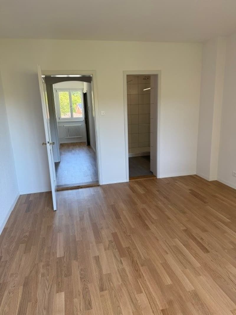 Sanierte 4.5 Zimmer Wohnung in der Elfenau (11)